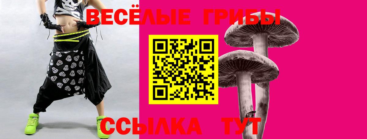 Самара  Галлюциногенные грибы MAGIC MUSHROOMS  Вход с VPN 